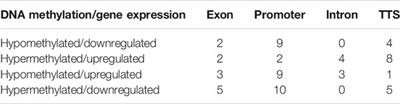 Genome-Wide DNA Methylation and Its Effect on Gene Expression During Subclinical Mastitis in Water Buffalo